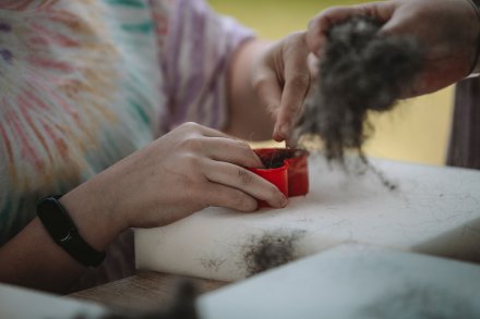 Wiślański wygón łowiec. Fot. Daniel Franek - Okiem Fotoreportera.